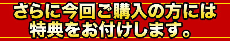 さらに今回ご購入の方には 特典をお付けします。 
